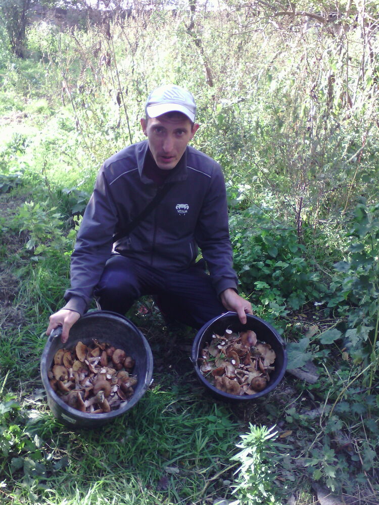 ���� 30857995 ������� ������, 35 ���, ���� ���������� � ������