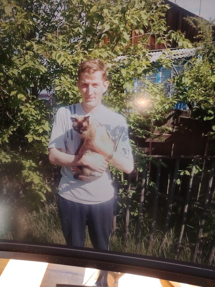  52903315  , 44 ,    -