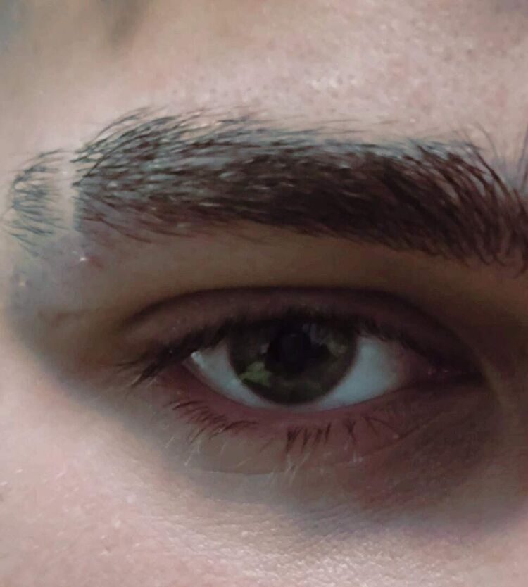  33580455  , 21 ,    -