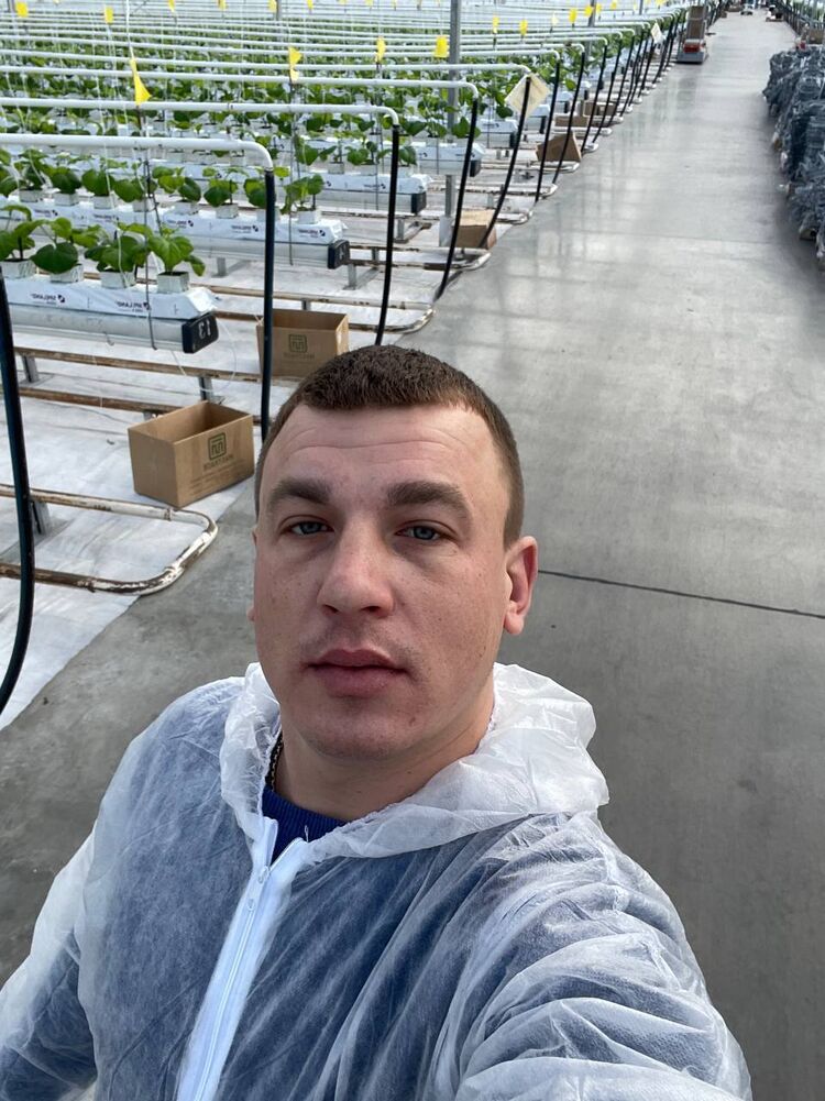 ���� 55908055 ������� ���������, 33 ����, ���� ���������� � �������-��-����