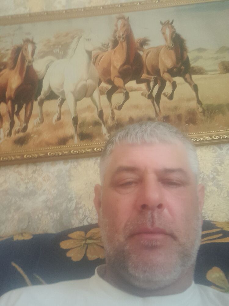 ���� 55851305 ������� ���������, 46 ���, ���� ���������� � ����������