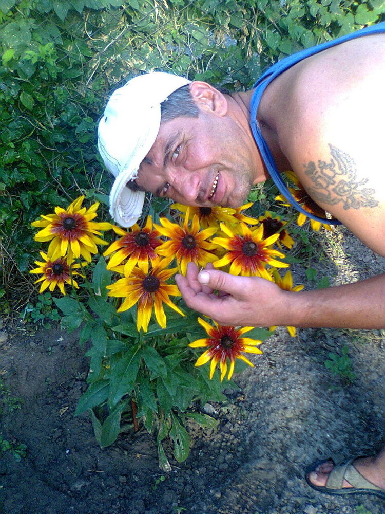  ,   , 51 ,   
