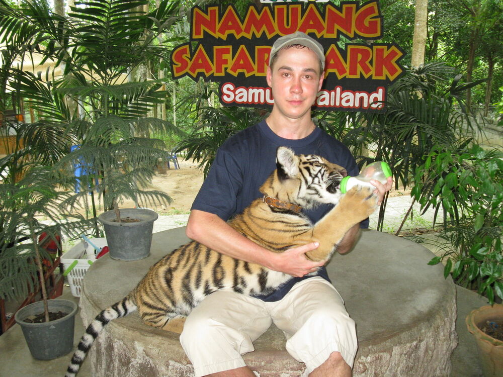 ���������� ��������, ���� ������� �����, 37 ���, ������������ ��� ������, ����� � ���������, c�������� ���������