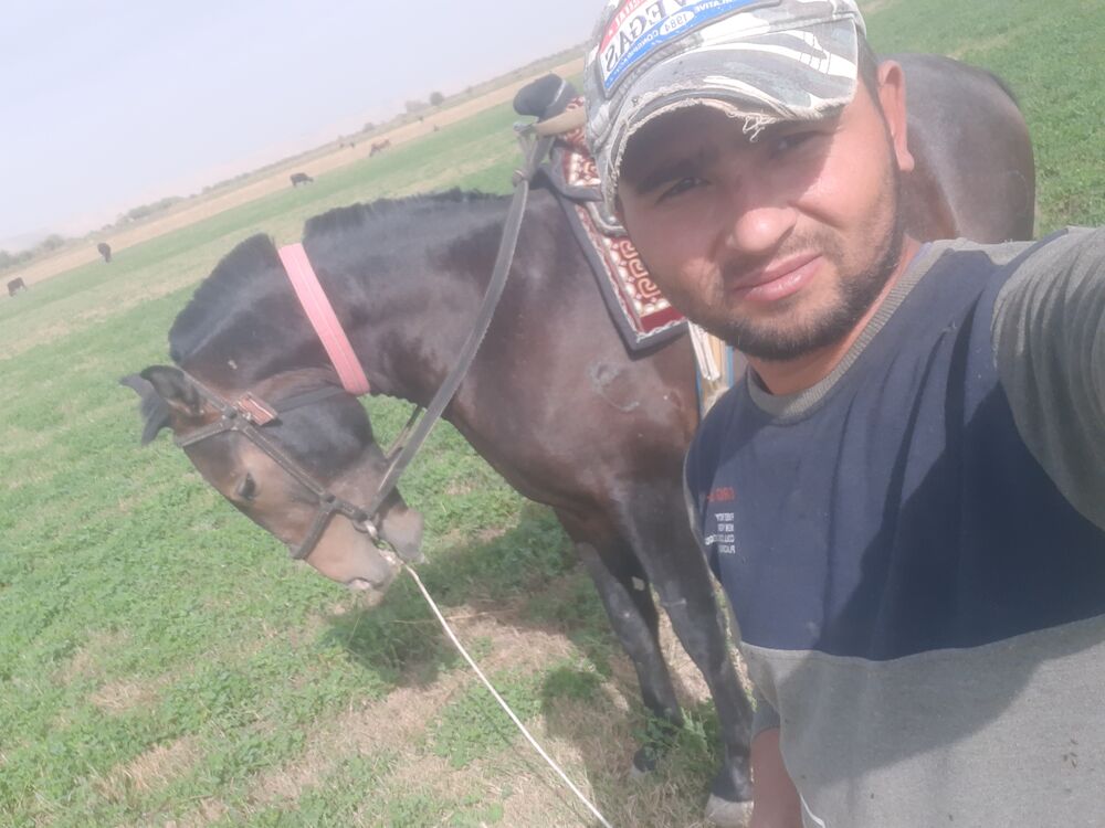 ���������� ���������, ���� ������� Eraj, 35 ���, ������������ ��� ������, ����� � ���������, ���������