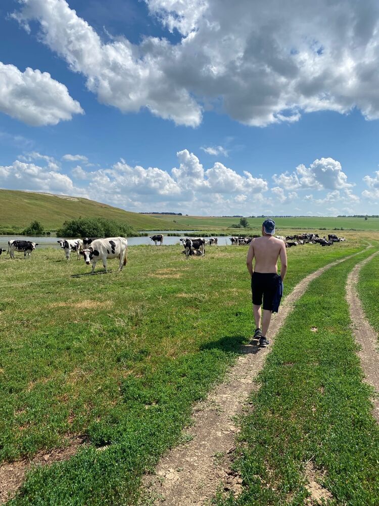 ���� 29461415 ������� Donir, 27 ���, ���� ���������� � ������-���