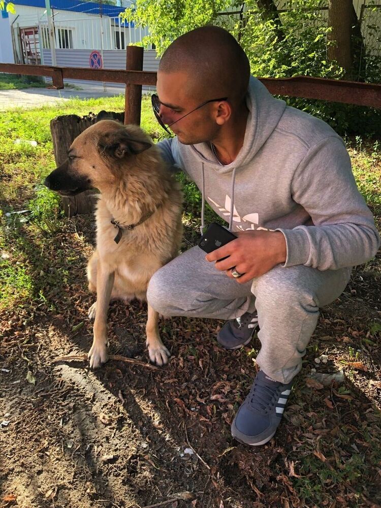 ���� 33131135 ������� ������, 27 ���, ���� ���������� � ���