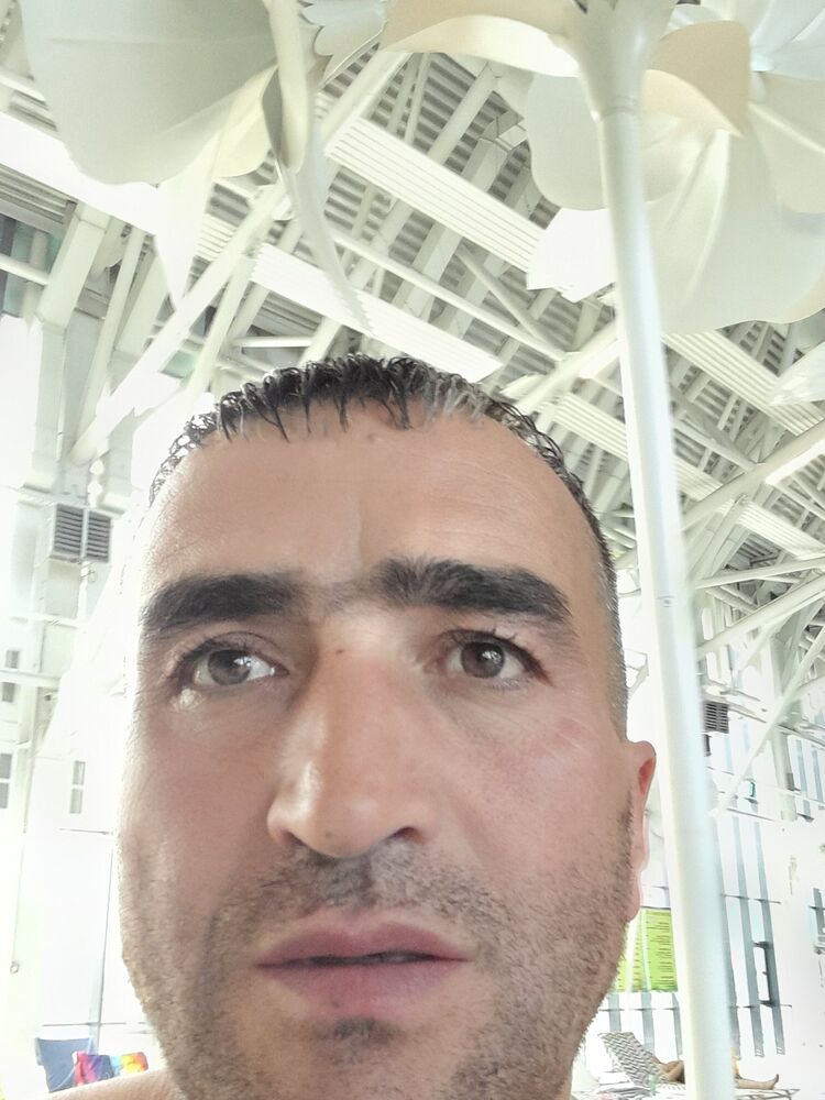  43504545  , 41 ,    