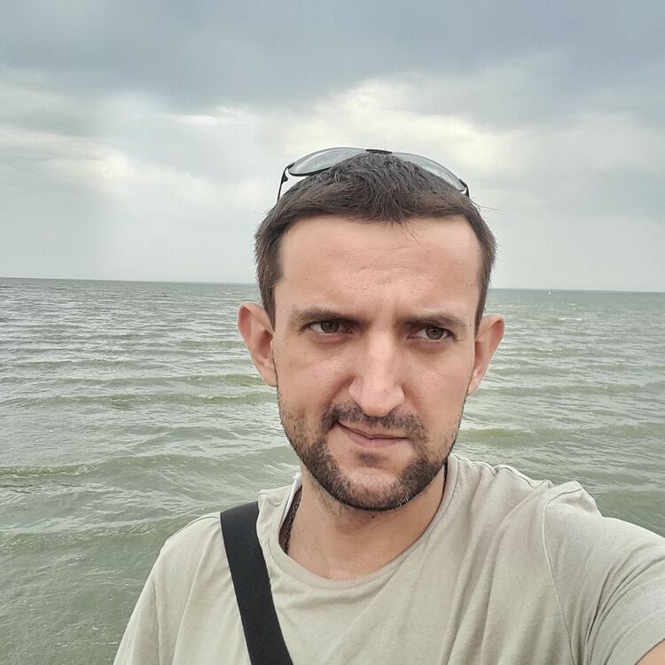  28795605  , 31 ,    --