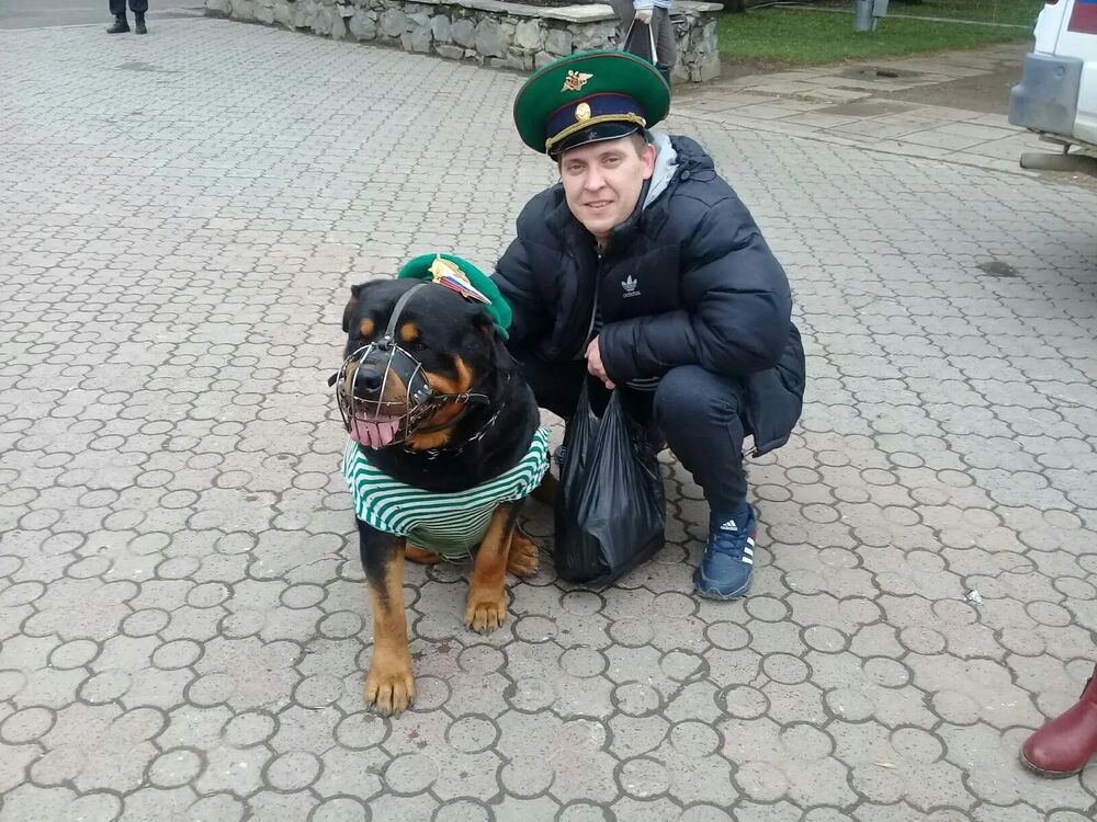 ���������� �����, ���� ������� ����, 42 ����, ������������ ��� ����� � ���������, c�������� ���������