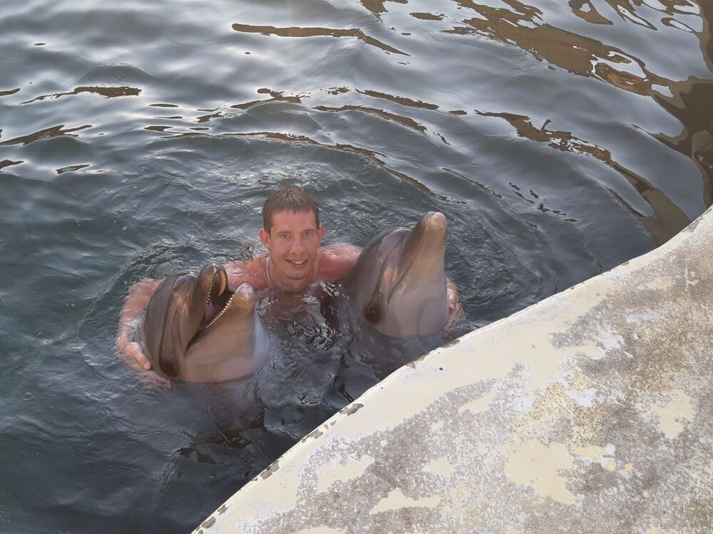 ���������� ����������, ���� ������� ������, 37 ���, ������������ ��� ������, ����� � ���������, c�������� ���������