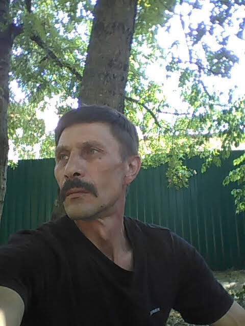  17408835  , 61 ,    