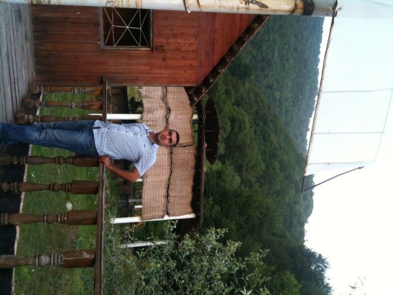 ���� 5027055 ������� ������, 38 ���, ���� ���������� � ����