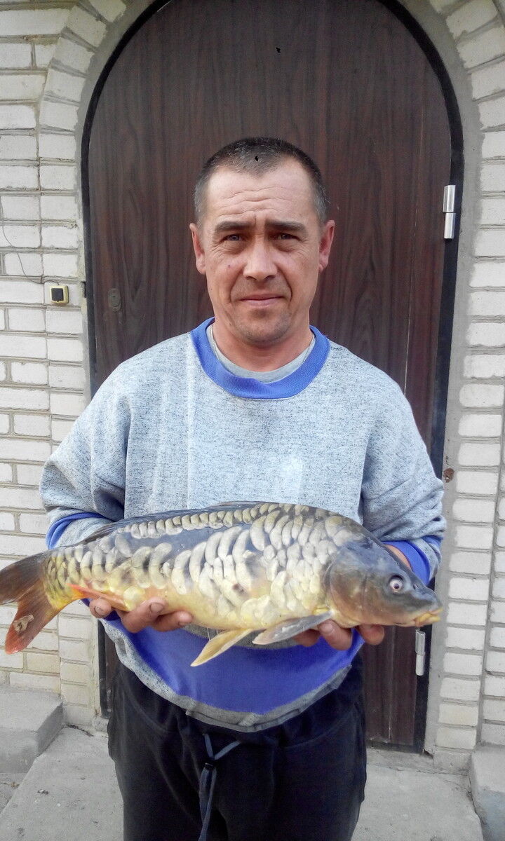 ���� 8571455 ������� ������, 54 ����, ���� ���������� � ��������