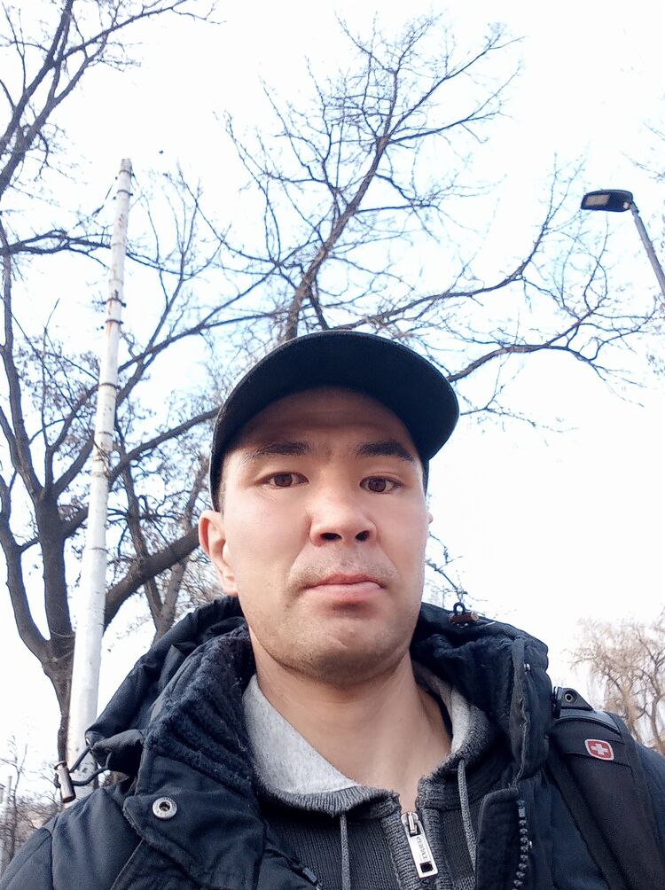 ���� 22956615 ������� Metis, 40 ���, ���� ���������� � �������