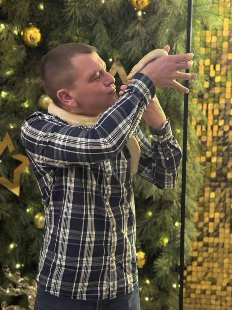 ���������� �����, ���� ������� ������, 31 ���, ������������ ��� ������, ����� � ���������