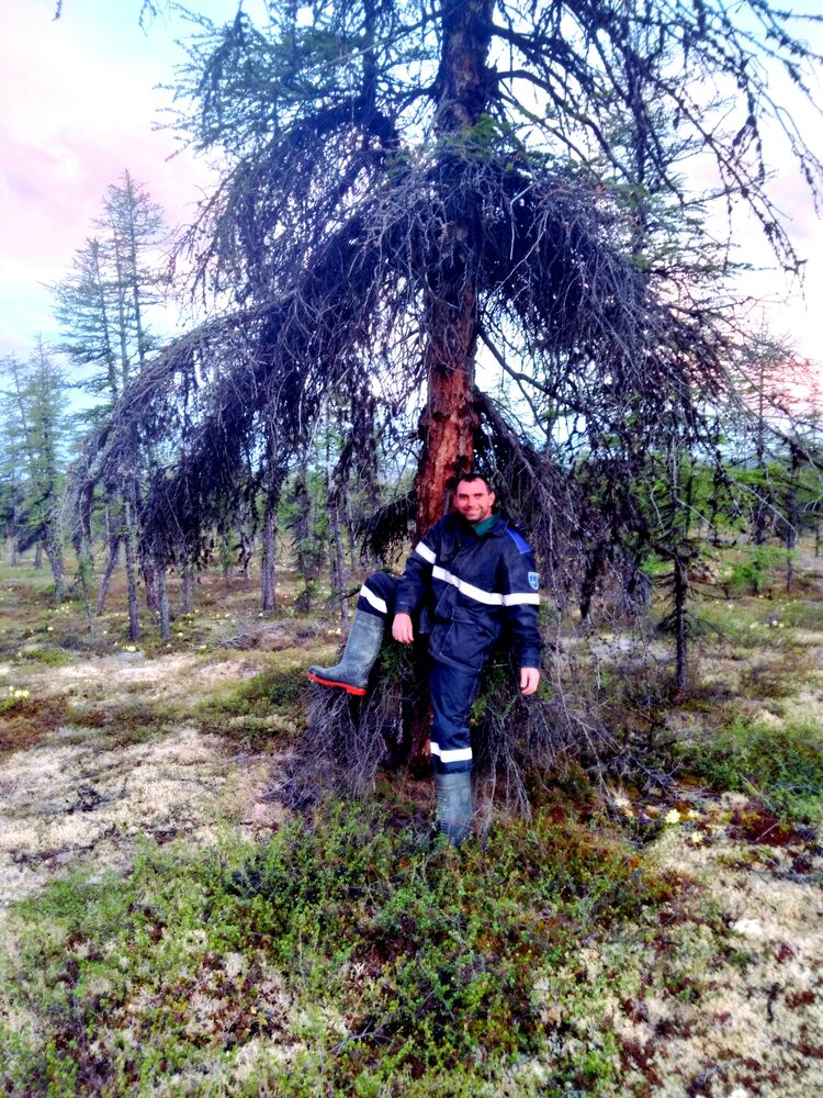 ���������� �������, ���� ������� �������, 39 ���, ������������ ��� ������, ����� � ���������