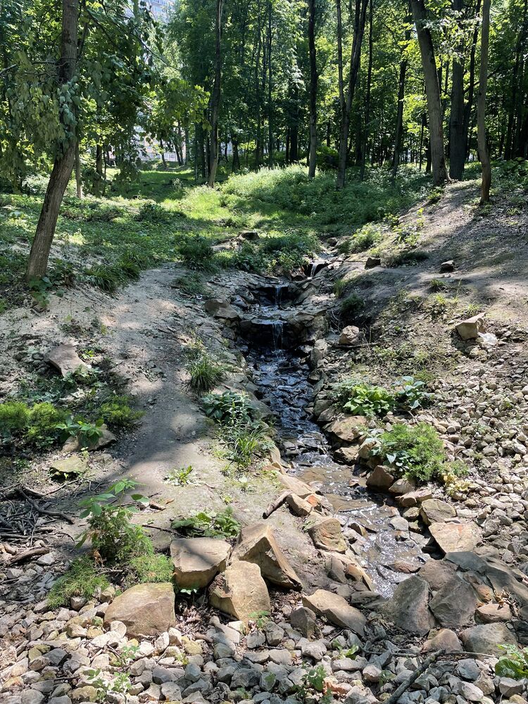 ���������� ����, ���� ������� ���������, 34 ����, ������������ ��� ������, ����� � ���������