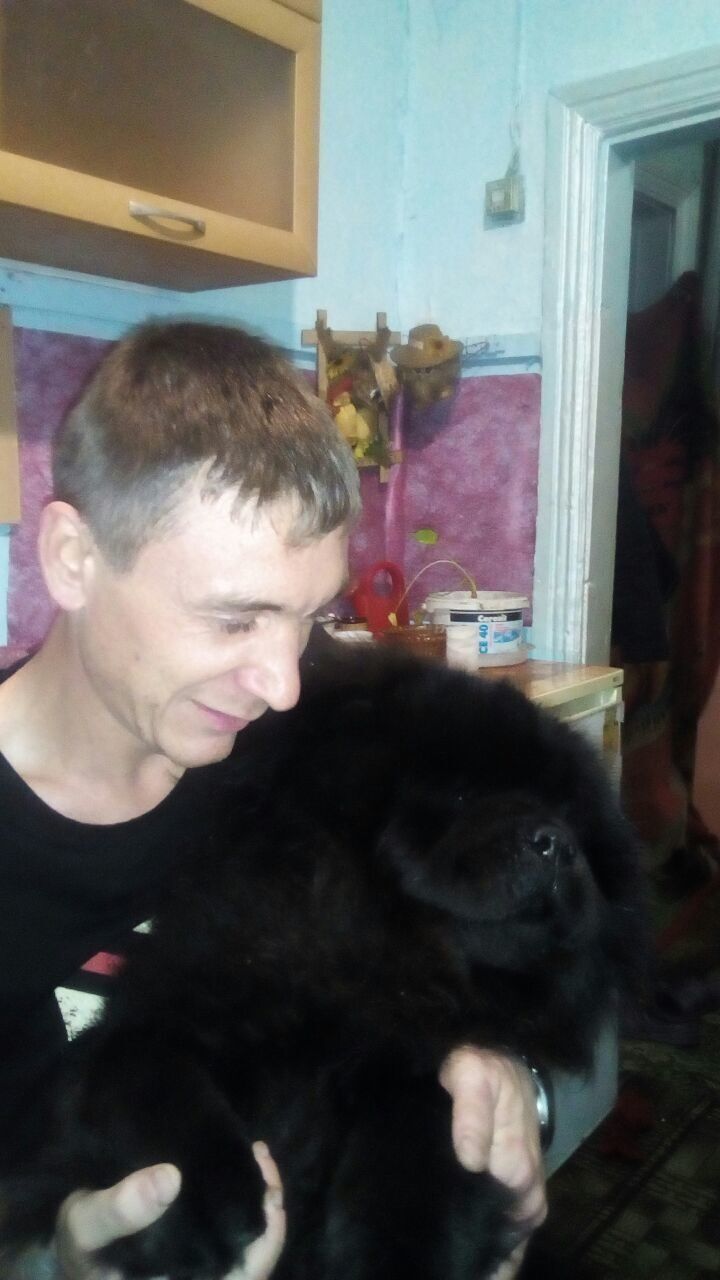 ���� 43861635 ������� �������, 35 ���, ���� ���������� � ����������