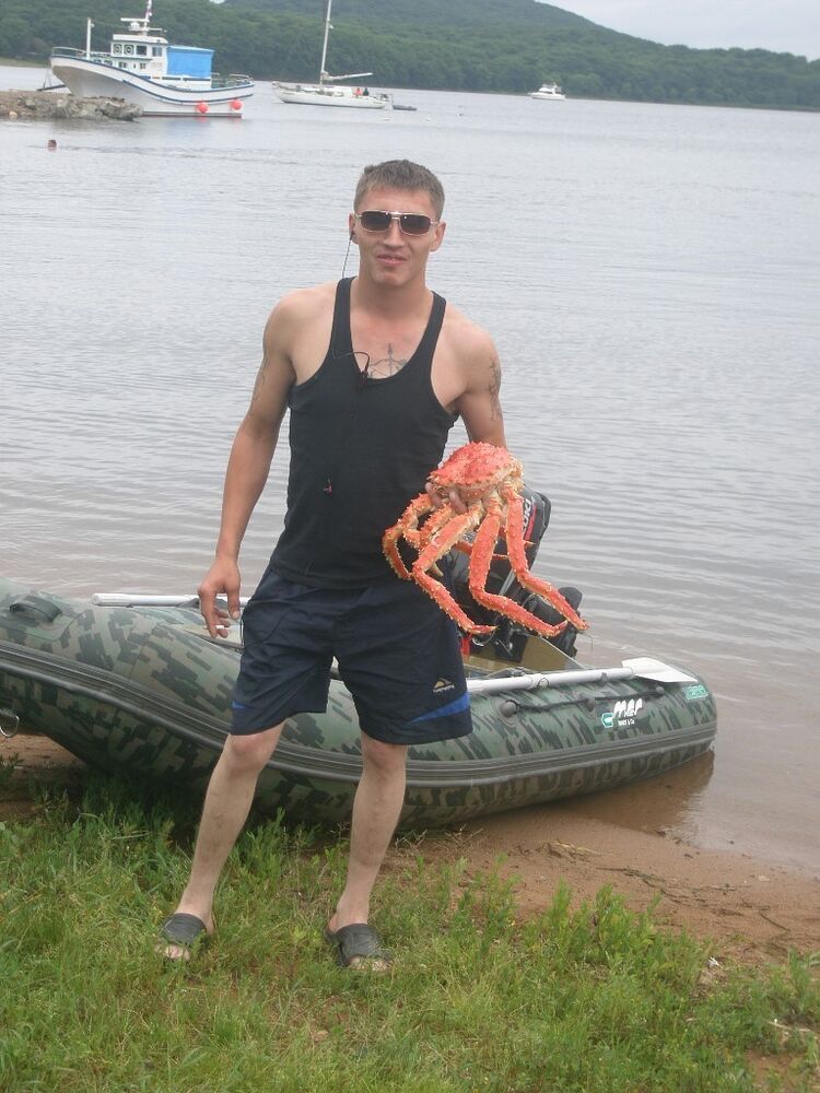 ���� 9787965 ������� �������, 34 ����, ���� ���������� � ������������-��-�����