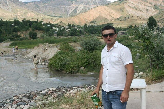  43800265  , 38 ,    -