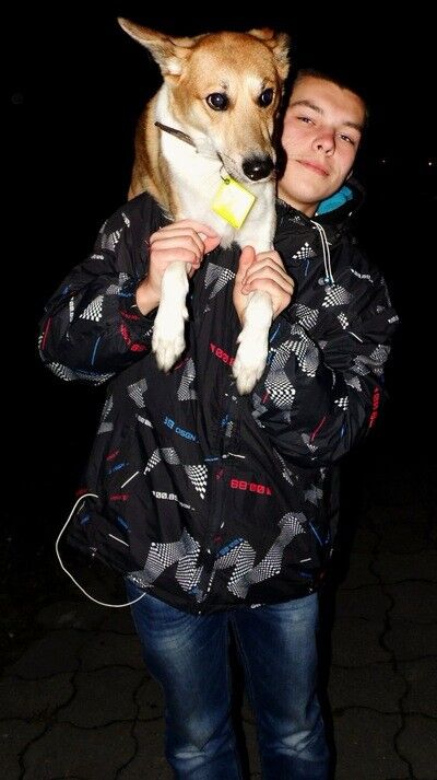 ���� 8263595 ������� ���������, 29 ���, ���� ���������� � ������