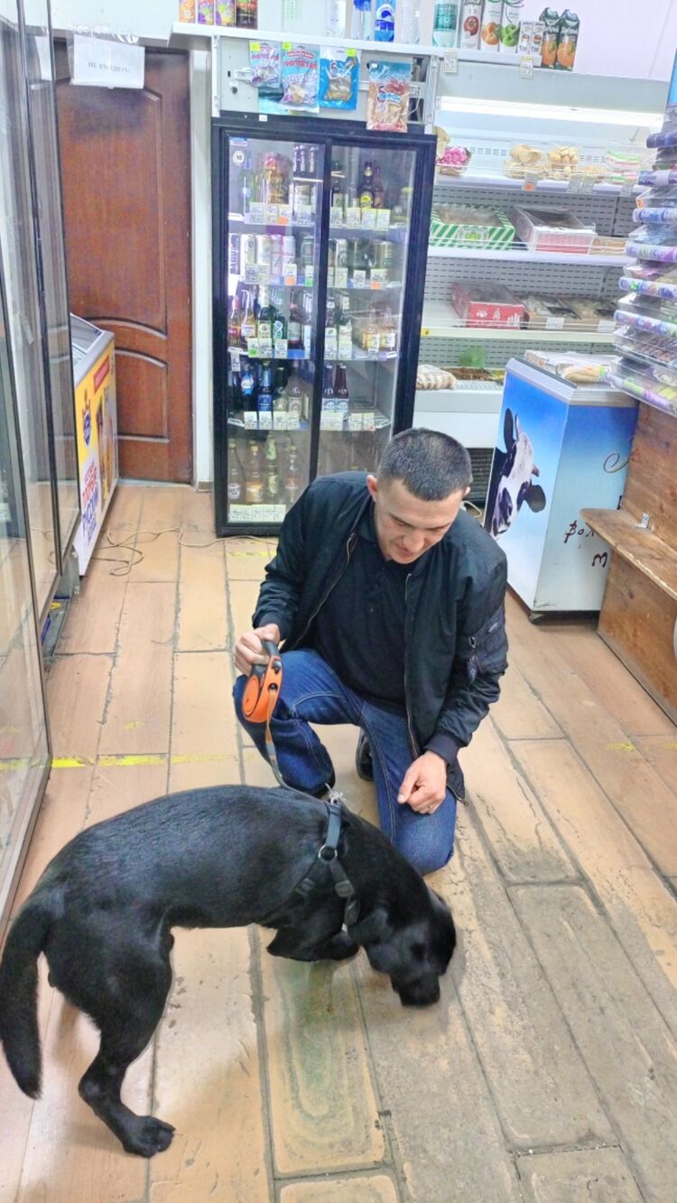  ,   , 44 ,   ,   