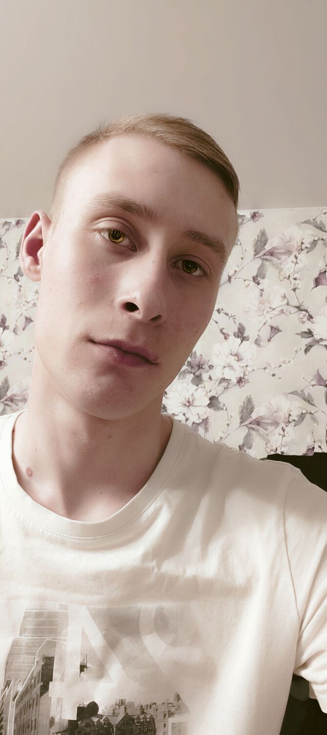  45091475  , 31 ,    -