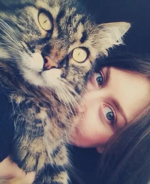 ���� 33916105 ������� �����, 28 ���, ���� ���������� � ������