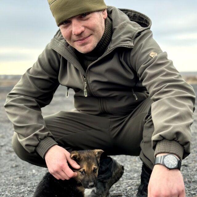  50213055  , 36 ,    --