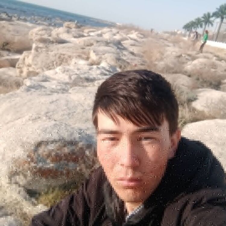 ���� 20636195 ����� ����, 24 ����, ���� ���������� � �����