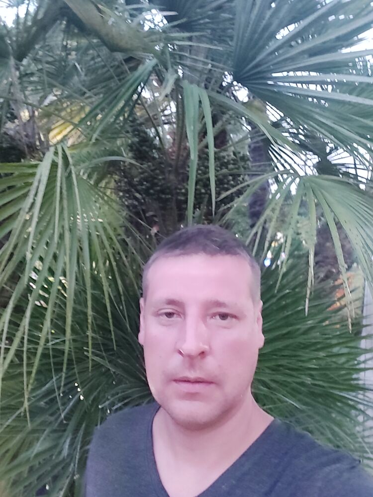 ���� 56228575 ������� �������, 42 ����, ���� ���������� � ������ ���������