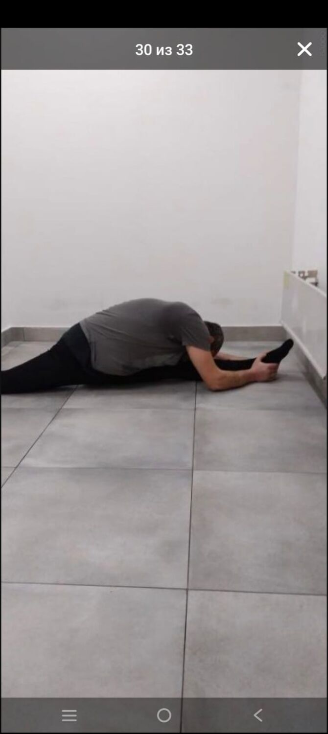  42393365  , 44 ,    