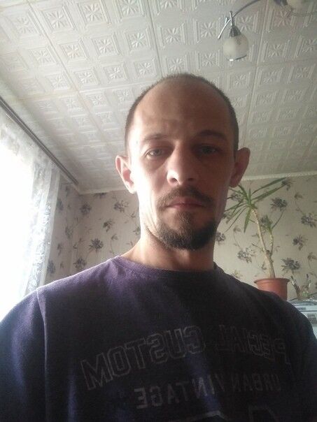  16456535  , 41 ,    