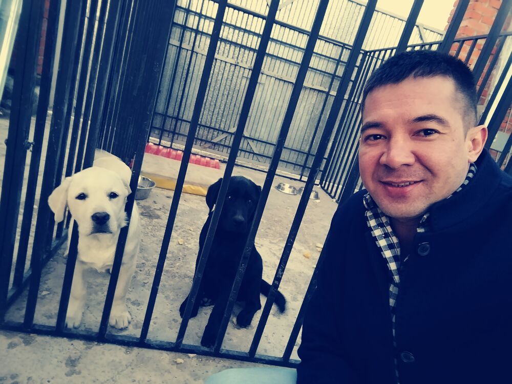 ���������� ���, ���� ������� �����, 34 ����, ������������ ��� ������, ����� � ���������