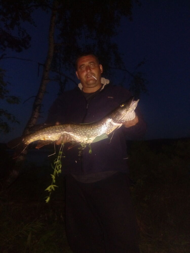 ���� 13748135 ������� �������, 49 ���, ���� ���������� � ��������