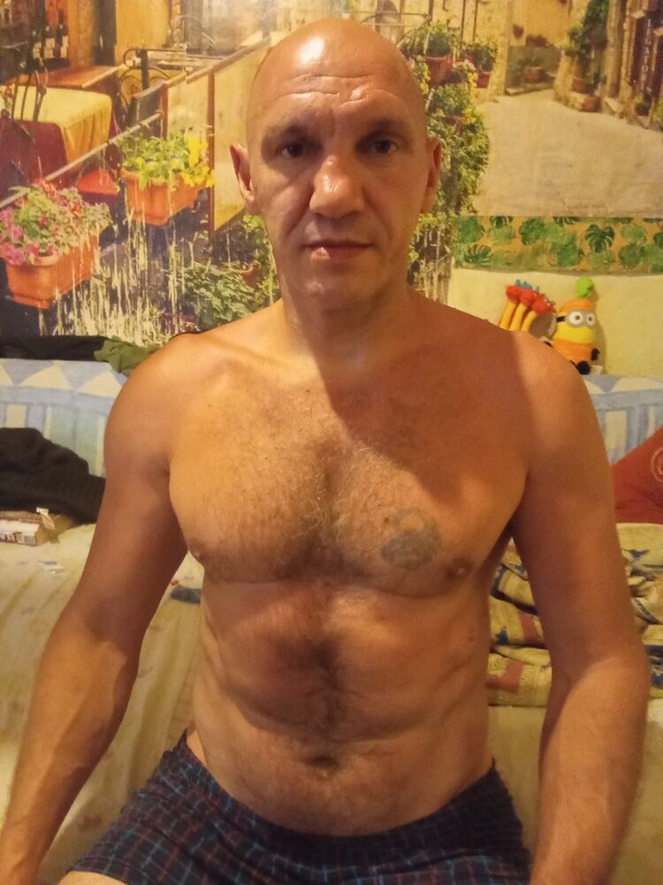  52832865  , 44 ,    