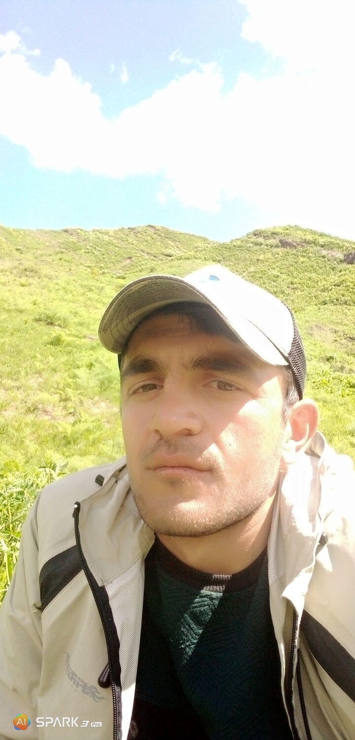  27699595  , 29 ,    -