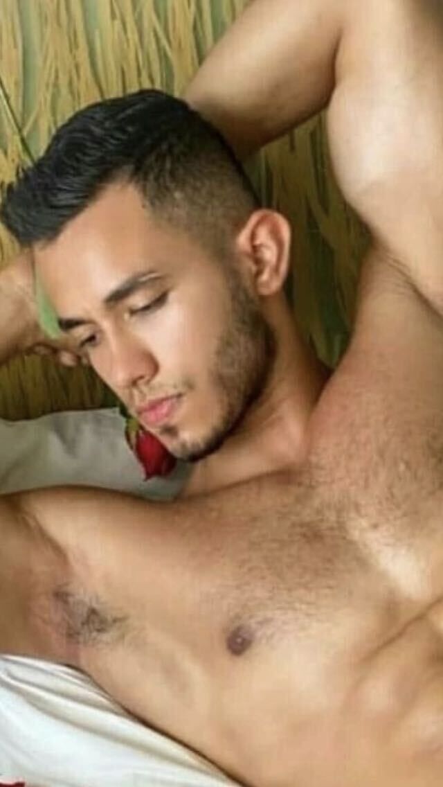  34757175  , 31 ,    