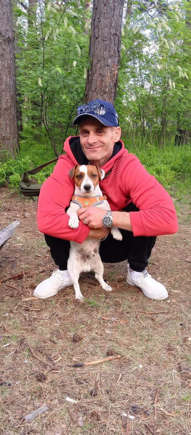 ���������� ������, ���� ������� ���, 41 ���, ������������ ��� ������, ����� � ���������