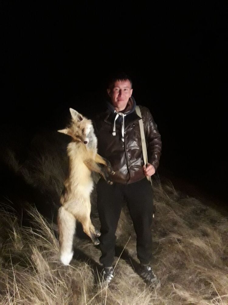 ���� 13965145 ������� �����, 39 ���, ���� ���������� � ������