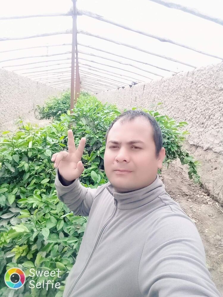  ,   Jaxongir, 34 ,   ,   , c 