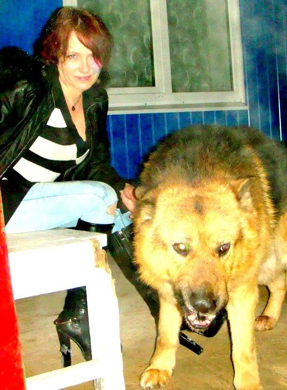 ���������� ������, ���� ������� ������, 62 ����, ������������ 