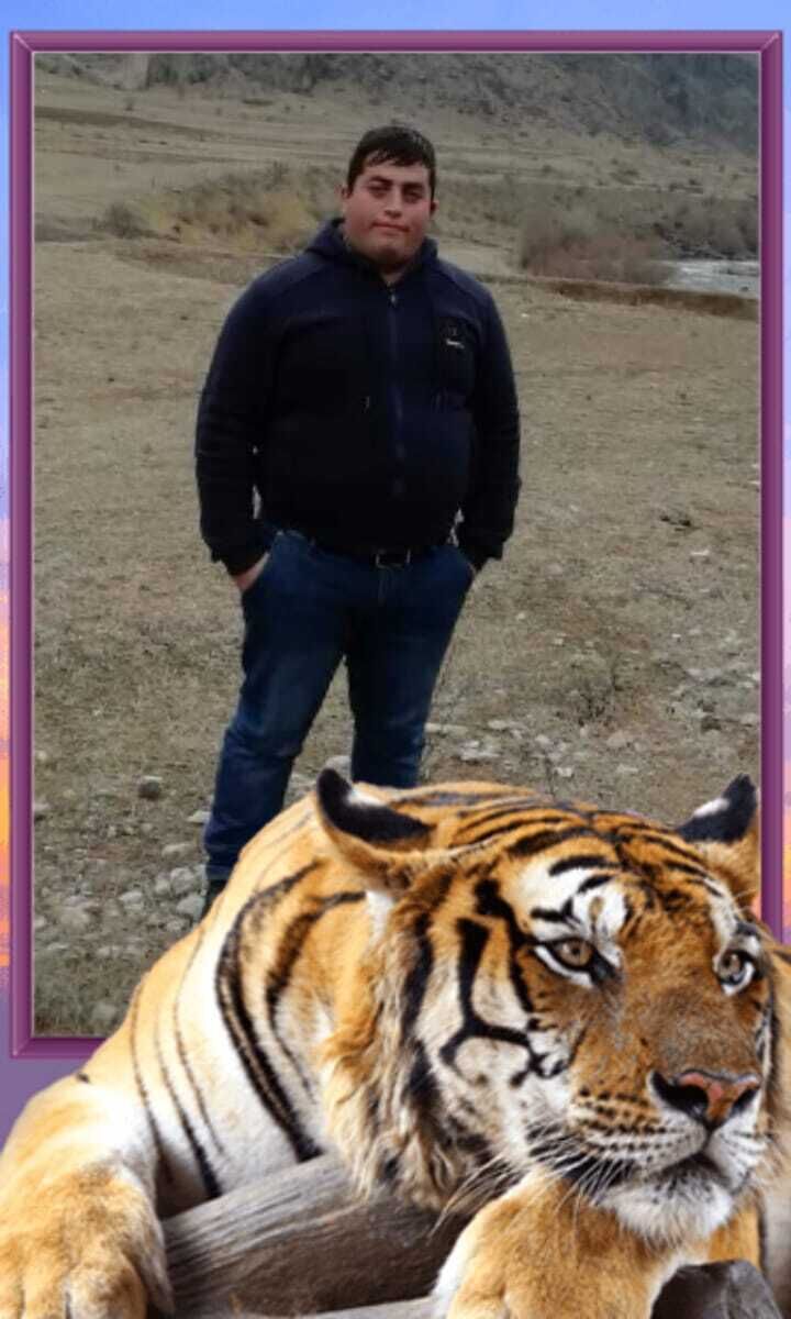  47911835  , 32 ,    