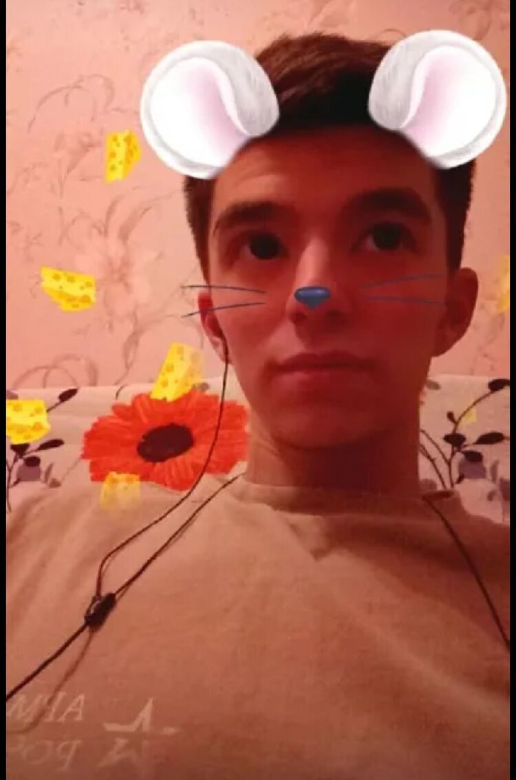  29286525  , 29 ,    