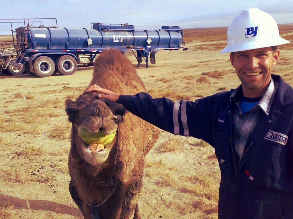 ���� 13223835 ������� ����������, 59 ���, ���� ���������� � ������