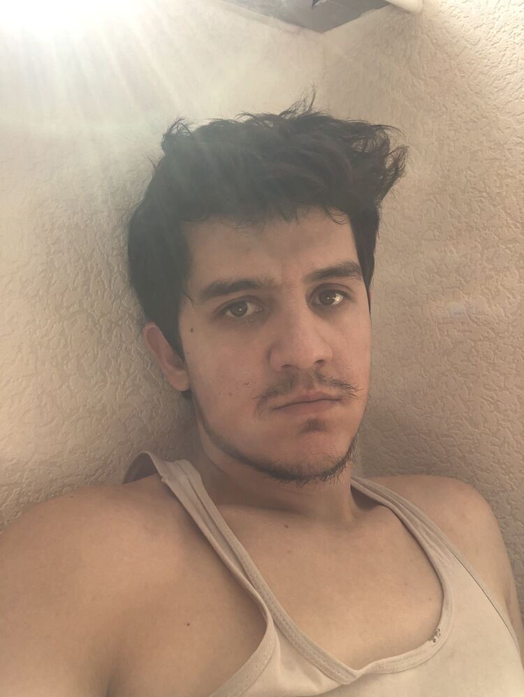  28278815  , 27 ,    