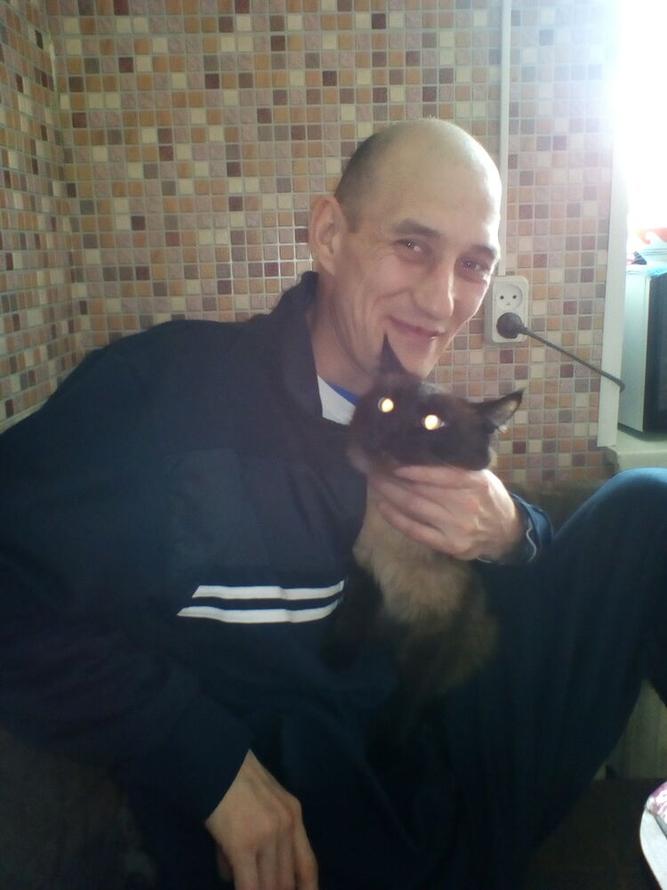 ���� 9354195 ������� �����, 43 ����, ���� ���������� � ���