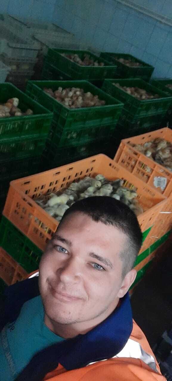  23734075  , 37 ,    --