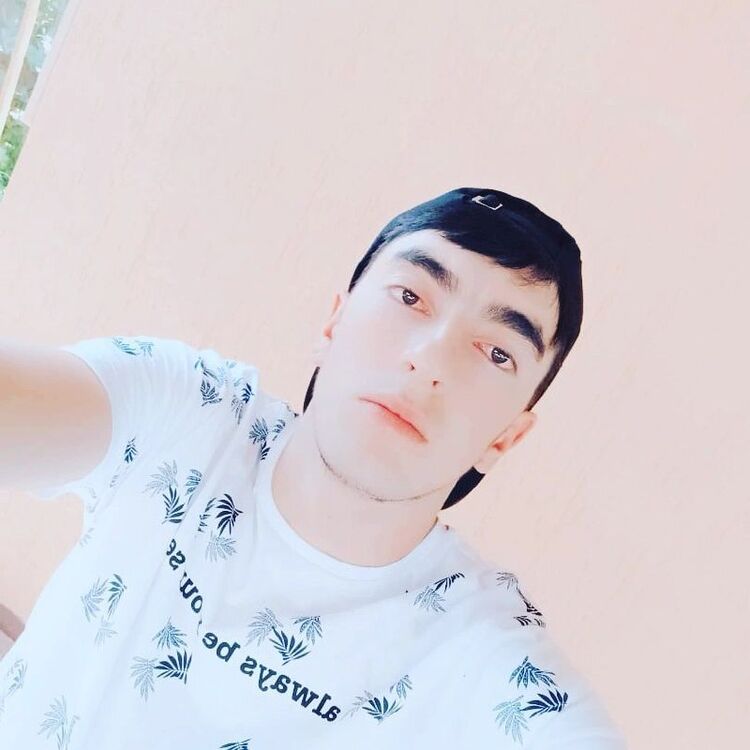  24048835  , 26 ,    