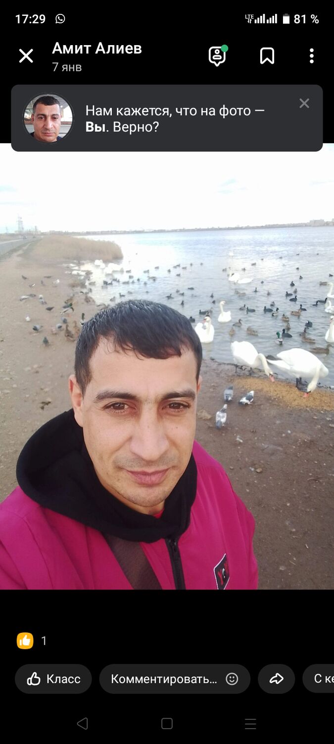  ,   , 41 ,   c 
